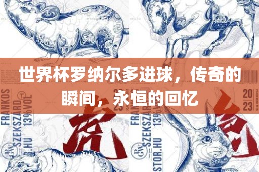 世界杯罗纳尔多进球，传奇的瞬间，永恒的回忆