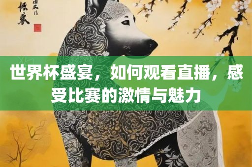 世界杯盛宴，如何观看直播，感受比赛的激情与魅力眉山市正发家政服务有限公司