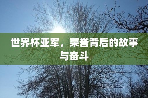 世界杯亚军，荣誉背后的故事与奋斗