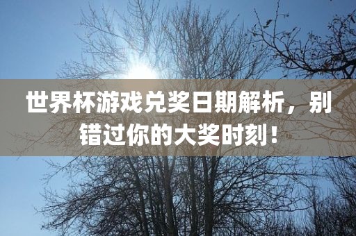 世界杯游戏兑奖日期解析眉山市正发家政服务有限公司，别错过你的大奖时刻！
