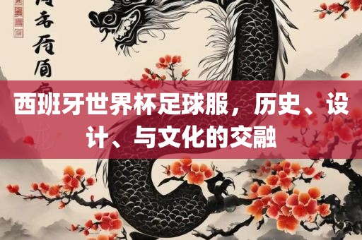 西班牙世界杯足球服，历史眉山市正发家政服务有限公司、设计、与文化的交融