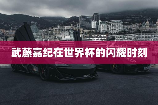 武藤嘉纪在世界杯的闪耀时刻眉山市正发家政服务有限公司
