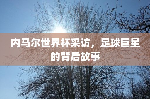 内马尔世界杯采访，足球巨星的背后故事眉山市正发家政服务有限公司