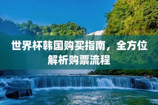 世界杯韩国购买指南，全方位解析购票流程眉山市正发家政服务有限公司