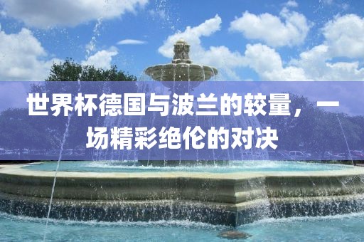世界杯德眉山市正发家政服务有限公司国与波兰的较量，一场精彩绝伦的对决