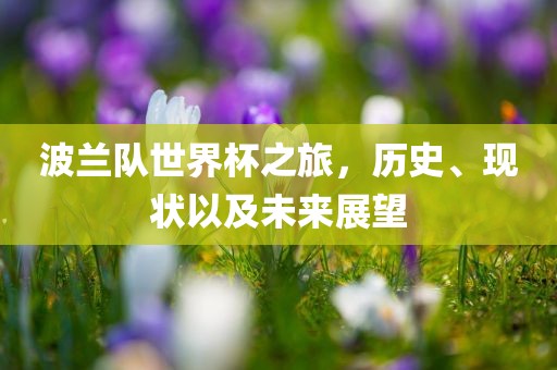 波兰队世界杯之旅，历史、现状以及未来展望眉山市正发家政服务有限公司
