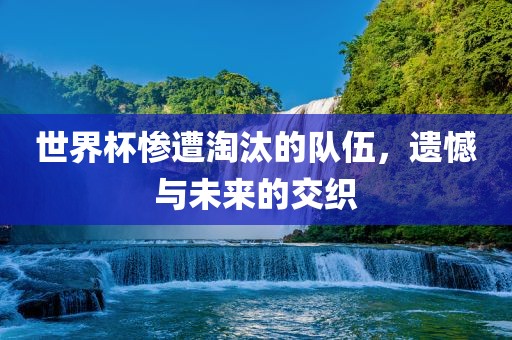 世界杯惨遭淘汰的队伍，遗憾与未来的交织眉山市正发家政服务有限公司