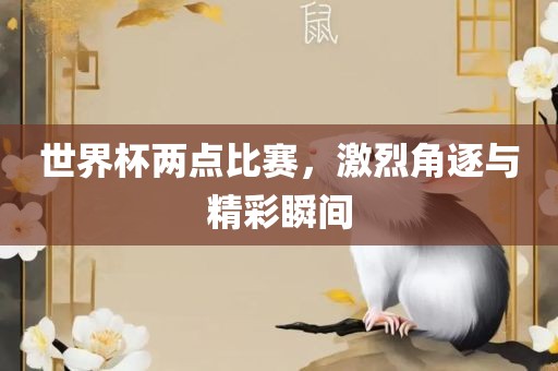 世界杯两点比赛，激烈角逐与精彩瞬间