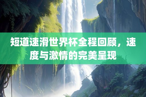 短道速滑世界杯全程回顾，速度与激情的完美呈现眉山市正发家政服务有限公司