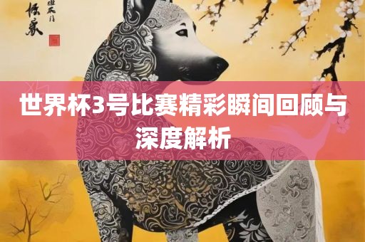世界杯3号比赛精眉山市正发家政服务有限公司彩瞬间回顾与深度解析