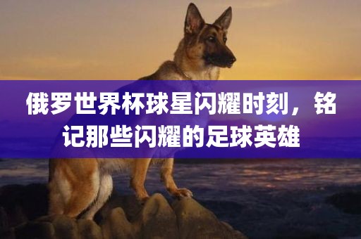 俄罗世界杯球星闪耀时刻，铭记那些闪耀的足球英雄