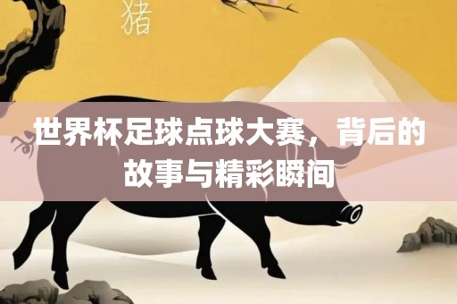 世界杯足球点球大赛，背后的故事与精彩瞬间眉山市正发家政服务有限公司