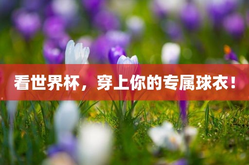 看世界杯，穿上你的专属球衣！眉山市正发家政服务有限公司