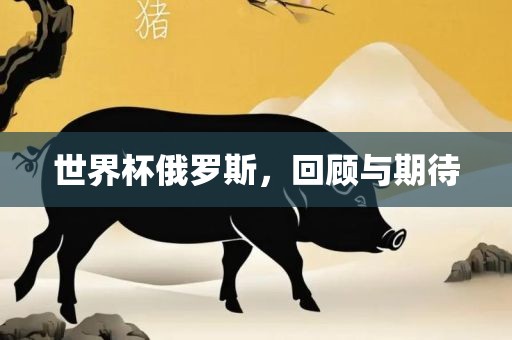 世界杯俄罗斯