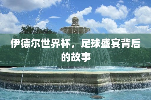 伊德尔世界杯，足球盛宴背后的故事眉山市正发家政服务有限公司
