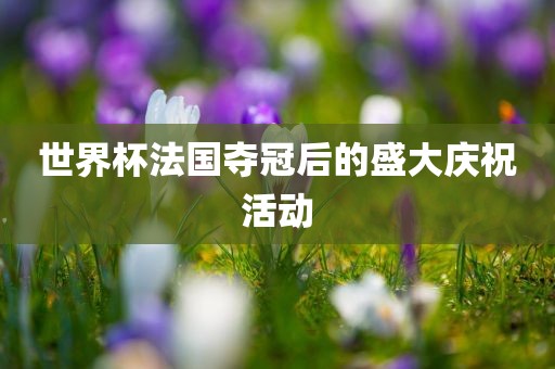 世界杯法国夺冠后的盛大庆祝活动眉山市正发家政服务有限公司