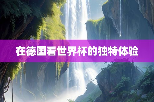 在德国看世界杯的眉山市正发家政服务有限公司独特体验