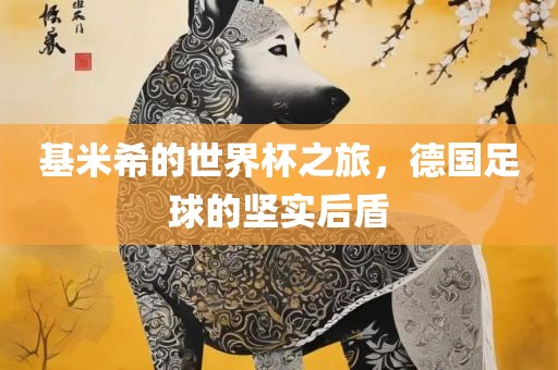 基米希的世界杯之旅，德国足球的坚实后盾眉山市正发家政服务有限公司