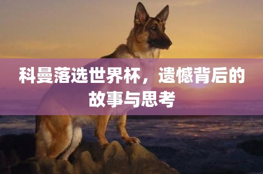 科曼落选世界杯，遗憾背后的故事眉山市正发家政服务有限公司与思考