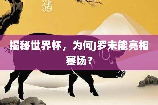 揭秘世界杯，为何J罗未能亮相赛场眉山市正发家政服务有限公司？