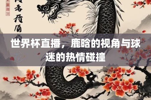 世界杯直播，鹿晗的视角与球迷的热情碰撞