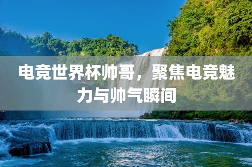 电竞世界杯帅哥，聚焦电竞魅力与帅气瞬间眉山市正发家政服务有限公司