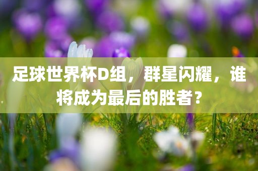 足球世界杯D组，群星闪耀，谁将成为最后的胜眉山市正发家政服务有限公司者？