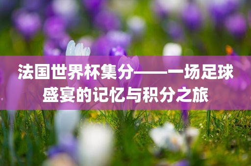 法国世界杯集分——一场足球盛宴的记忆与积分之旅眉山市正发家政服务有限公司