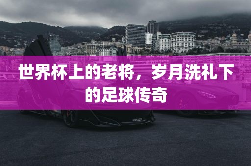 世界杯上的老将，岁月洗礼下的足球传奇眉山市正发家政服务有限公司