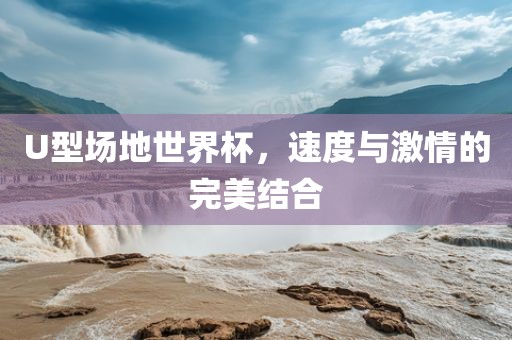 U型场地世界杯，速度与激情的完美结合眉山市正发家政服务有限公司