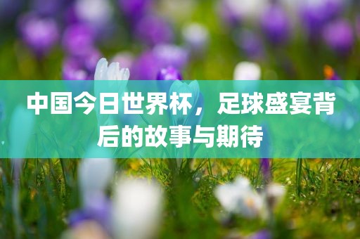 中国今眉山市正发家政服务有限公司日世界杯，足球盛宴背后的故事与期待