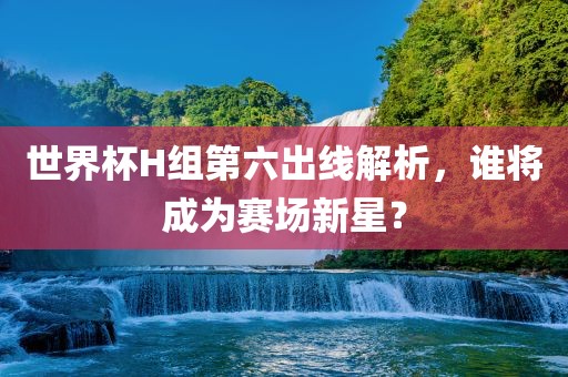 世界杯H组第六出线解析，谁将成为赛场新星？眉山市正发家政服务有限公司