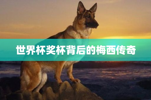 世界杯奖杯背后的梅西传奇