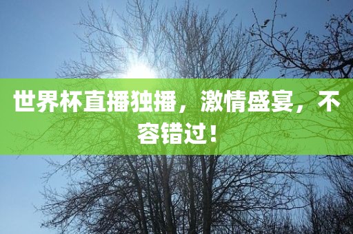 世界杯直播独播，激情盛宴，不容错过！