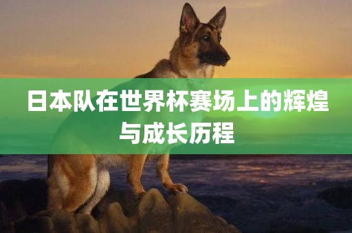 日本队在世界杯赛场上的辉煌与成长历程眉山市正发家政服务有限公司