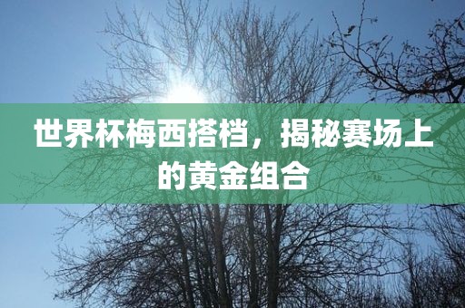 世界杯梅西搭档，揭秘赛场上的黄金组合眉山市正发家政服务有限公司