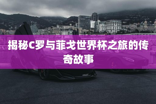 揭秘C罗与菲戈世界杯之旅的传奇故事眉山市正发家政服务有限公司