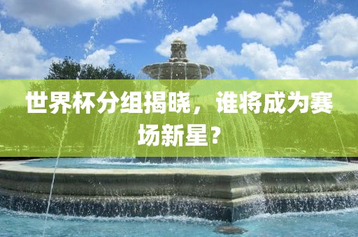 世界杯分组揭晓，谁将成为赛场新星？眉山市正发家政服务有限公司