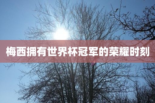 梅西拥有世界杯冠军的荣耀时刻眉山市正发家政服务有限公司