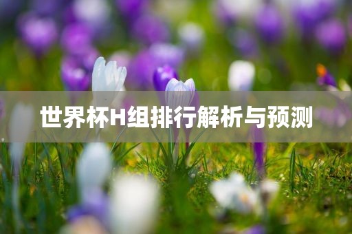 世界杯H组排行解析眉山市正发家政服务有限公司与预测