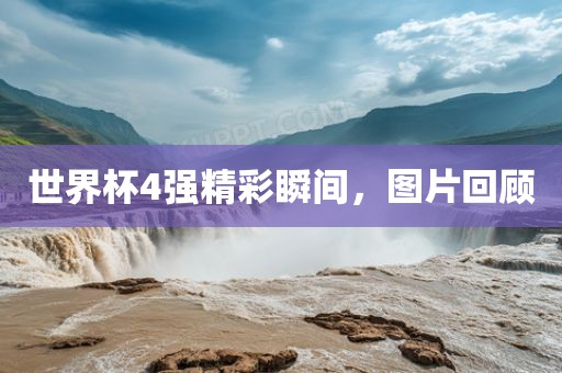 世界杯4强精彩瞬间，图片回顾眉山市正发家政服务有限公司
