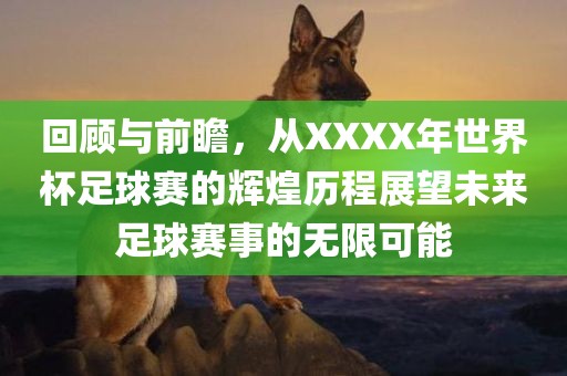 回顾与前瞻，从XXXX年世界杯足球赛的辉煌历程展望未来足球赛事的无限可眉山市正发家政服务有限公司能