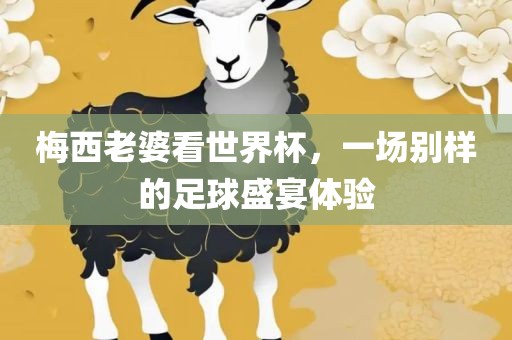 梅西老婆看世界杯，一场别眉山市正发家政服务有限公司样的足球盛宴体验