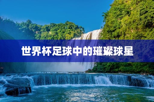 世界杯足球中的璀璨球星眉山市正发家政服务有限公司