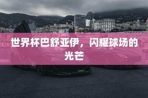 世界杯巴舒亚伊，闪耀球场的光芒眉山市正发家政服务有限公司