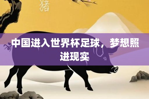 中国进入世界杯足球，梦想照进现实眉山市正发家政服务有限公司
