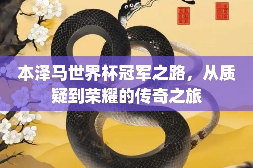 本泽马世界杯冠军之路，从质疑到荣耀的传奇之旅眉山市正发家政服务有限公司