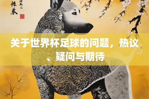 关于世界杯足球的问题，热议、疑问与期待眉山市正发家政服务有限公司