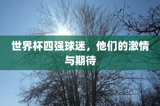 世界杯四强球迷，他们的激情与期待