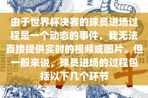 由于世界杯决赛的球员进场过程是一个动态的事件，我无法直接提供实时的视频或图片。但一般来说，球员进场的过程包括以下几个环节
